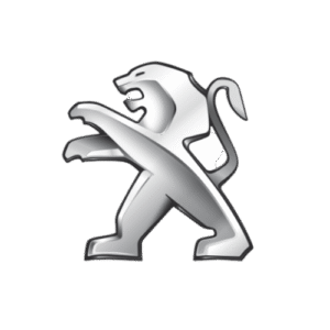 Peugeot raktų gamyba | Šiauliai