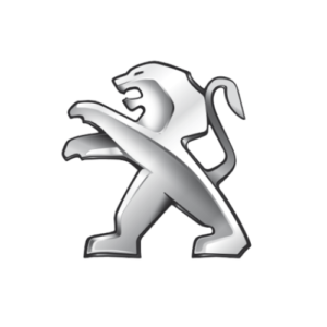Peugeot raktų gamyba Panevėžyje
